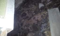 sandymount tower 11390.jpg